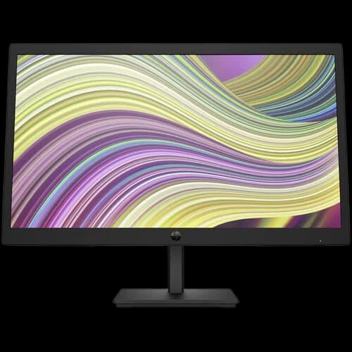 HP P22v G5 21.45 Monitor