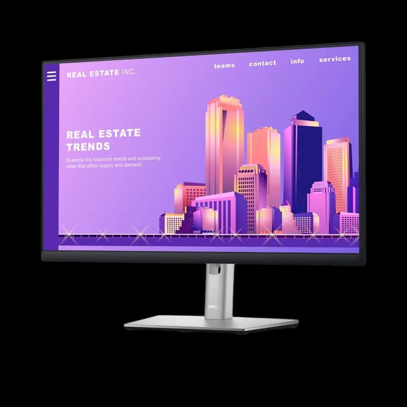 Dell 24 P2422H FHD (1920x1080) 60Hz IPS Flat